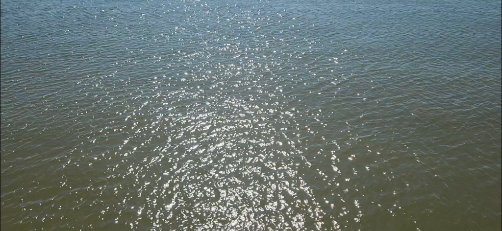 Novel Excerpt: Restoring&nbsp;Memories