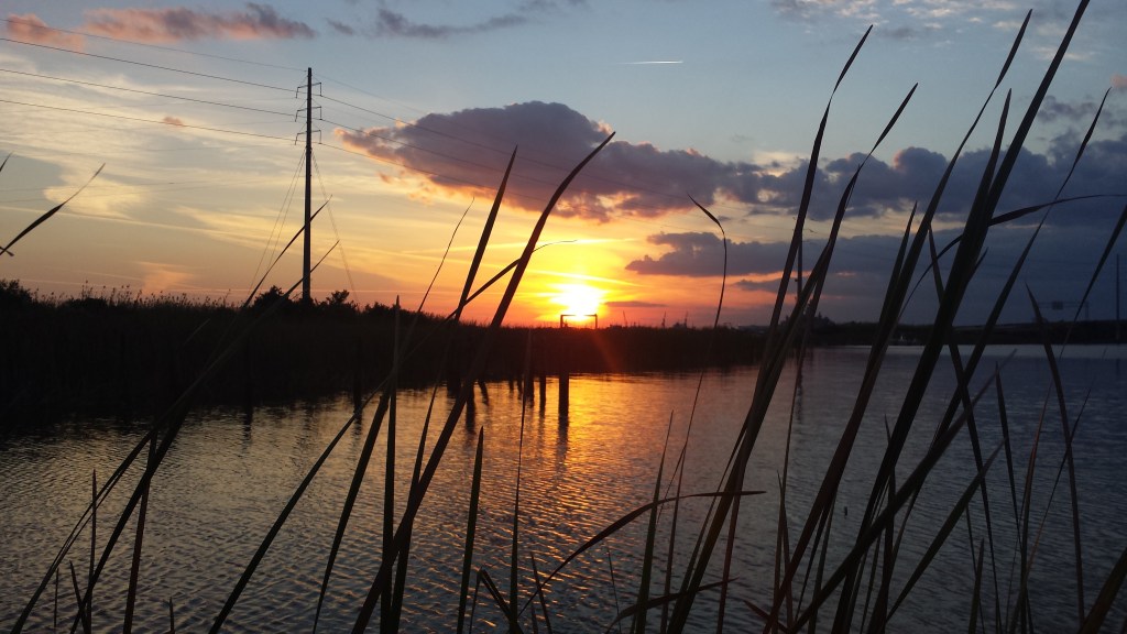 One Bard to&nbsp;Another