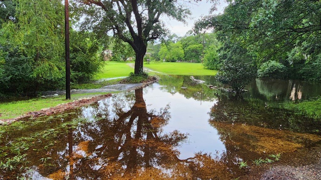 The image that inspired the blog’s&nbsp;name