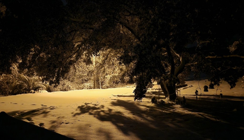 Embrace the Woodland&nbsp;Void