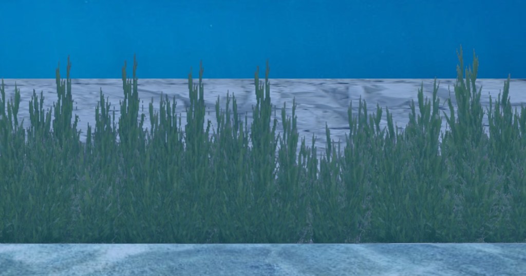 The Weeds on the&nbsp;Wall