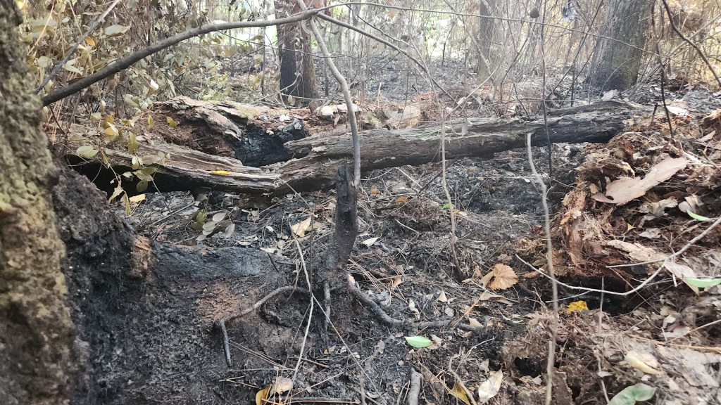 Fragments from a&nbsp;Fire