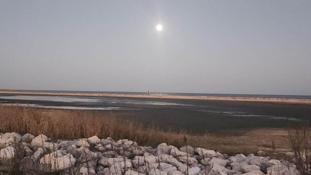 Stillness of the&nbsp;Evening